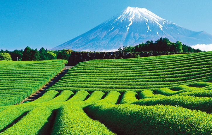 富士山