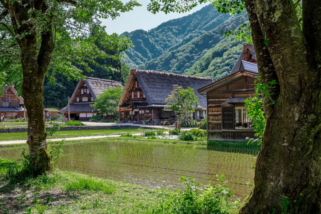 五箇山　宿泊